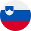 V. Erjavec