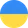 M. Kostyuk