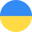 M. Kostyuk