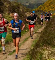 Paysage de trail
